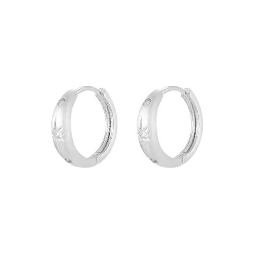 EAR PARTNER S925 Серебряные Серьги-гвоздики Женские