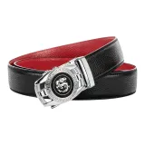 Серебристая пряжка