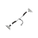 Серебряная молния