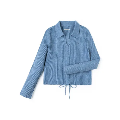 Lee совместный бренд модель Синий Женские Свитера