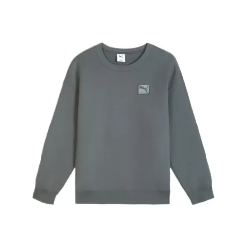 PUMA Nightfall Gray Men's Sweatshirts