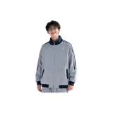 Фотиния Серый и Полосы Темно-Синий