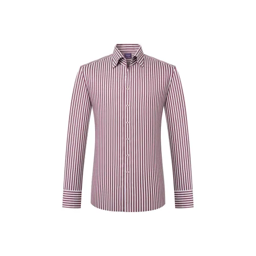 Camicissima Фуксия Мужские Рубашки