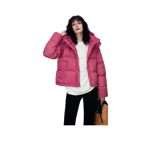 FLIM Pink Red Women's Down Jackets FLIM Розовый Красный Женские Пуховики