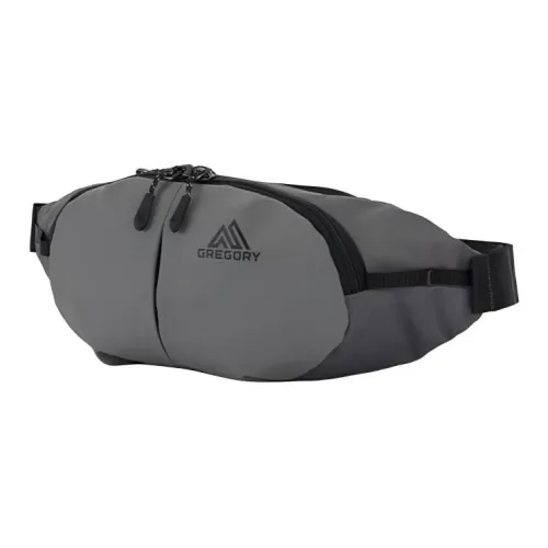 GREGORY Ткань Sling Сумка Стандартная Мужская Серебристо-Серый