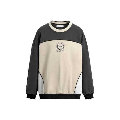 ZARA Carbon Gray Мужские Свитшоты