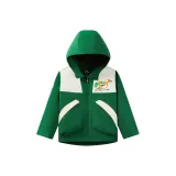 Тропический лес зеленый-2