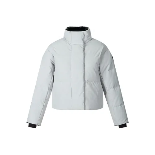 Canada Goose Grandview Series FW24 Пуховик Женская Серебряная Береза