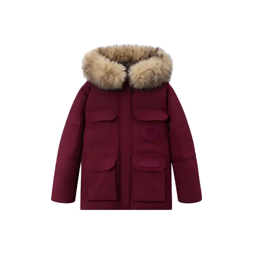 ZEKIKO STUDIO Пуховик Женские