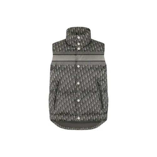 DIOR Серый Черный Женские Жилеты