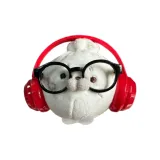 Смотрит Леопард Аксессуары Позиционирование Стиль (Наушники Красный & Синий Случайный + Черное Стекло)