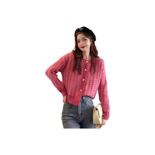 BVODE Розовый Женский Трикотаж