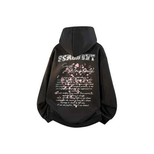 SUNSETMONENT Унисекс Свитшоты