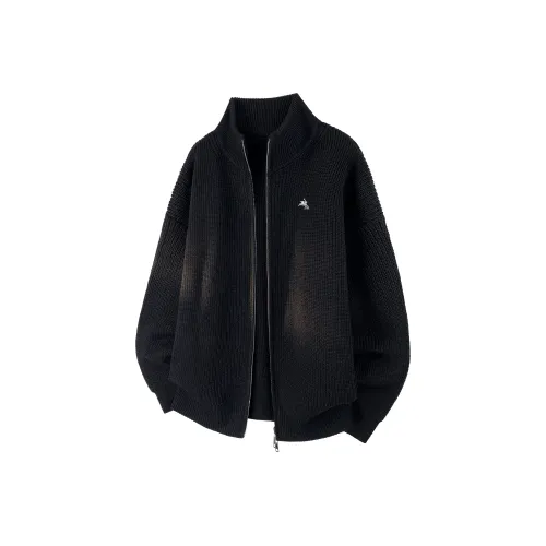 POLOMEISDO Унисекс Свитера