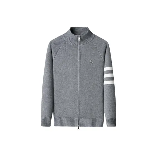 POLOMEISDO Мужские Свитера