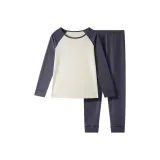 Серия Carbon Gray