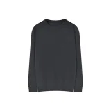 Бибер серого цвета