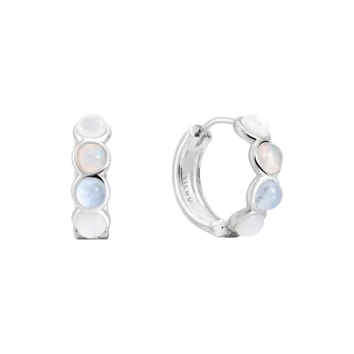 Arsis Shell Серьги Унисекс Синий