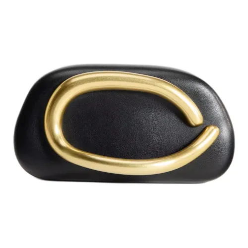 ZARA ПУ (полиуретан) Сумка через плечо Клатч Маленький Женский Черный