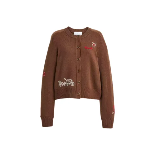 COACH Умбра Женские Свитера