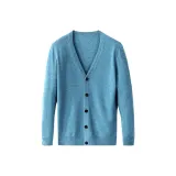 Потерянный автомобиль хризантема синий