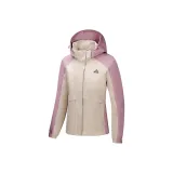 Лотосовый корень