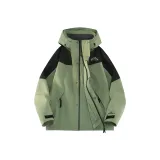 Кедр Зеленый