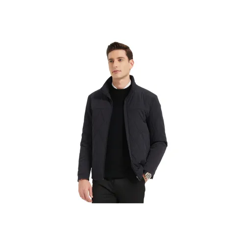 PIERRE CARDIN Хлопковый пуховик мужской