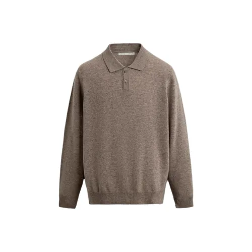 ZARA Мужская поло коричневого цвета