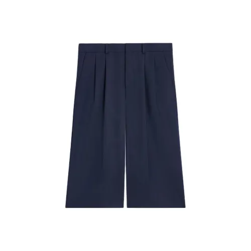 CELINE Морские Синий Женские Повседневные Шорты