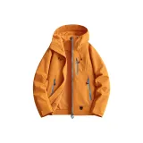 Золото, песочно-оранжевый