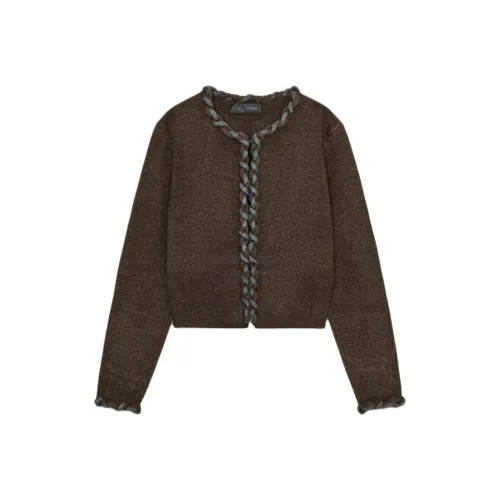 ZARA Коричневый Женский Трикотаж