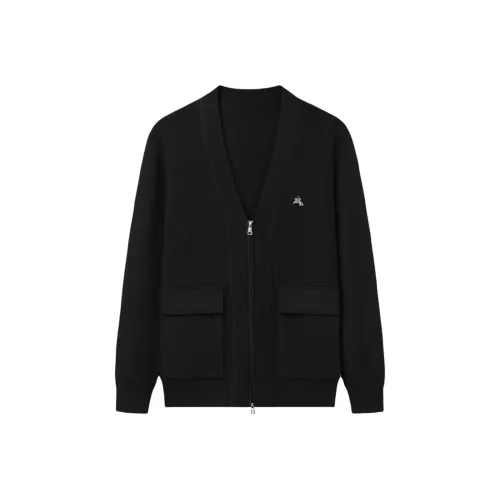 POLOMEISDO Унисекс Свитера