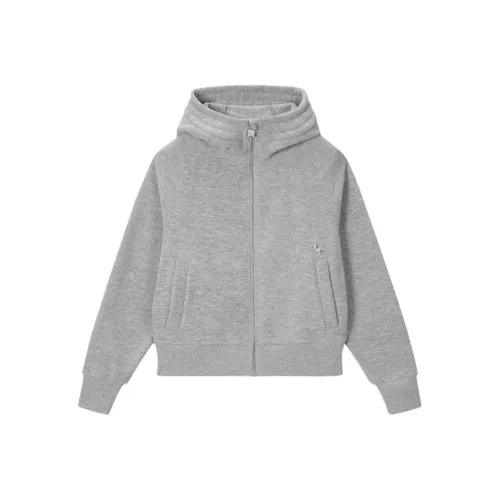 ANNA SUI Серый Женский Свитшот