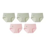 5 пачек (3 изумрудно-зеленых + 2 светло-розовых красных)