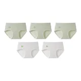 5 пачек (3 изумрудно-зеленых + 2 лазурно-фиолетовых)