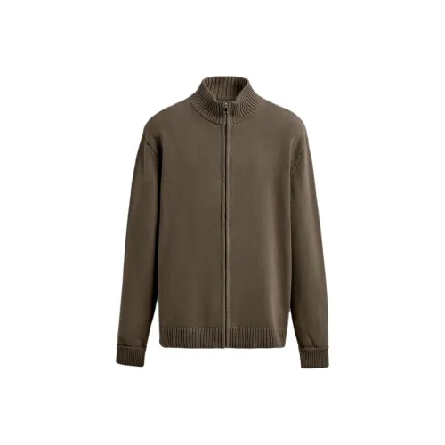 ZARA Мшисто-зеленый Мужской Трикотаж