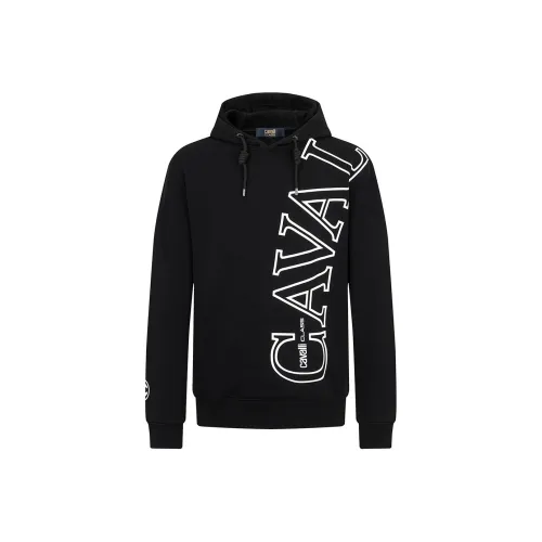 Cavalli Class Мужские Свитшоты