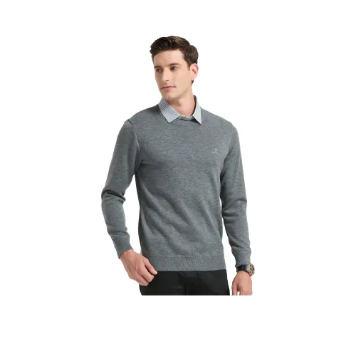 PIERRE CARDIN Мужской Трикотаж