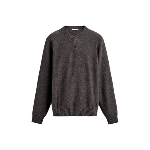 ZARA Коричневые Мужские Свитера