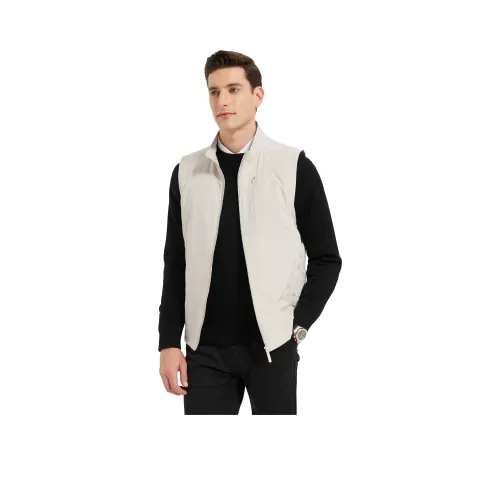 PIERRE CARDIN Мужские жилеты