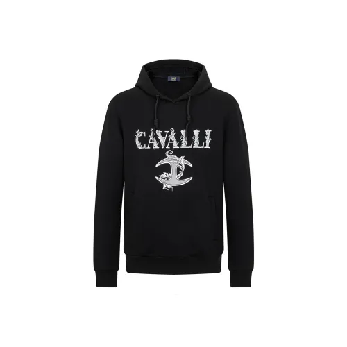 Cavalli Class Мужские Свитшоты