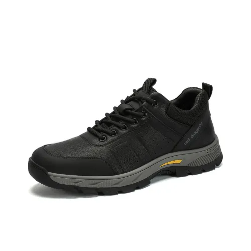 RED DRAGONFLY Повседневная обувь Мужская