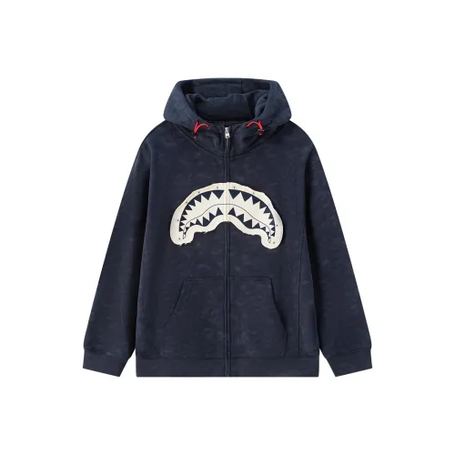 SPRAYGROUND Унисекс Свитшоты