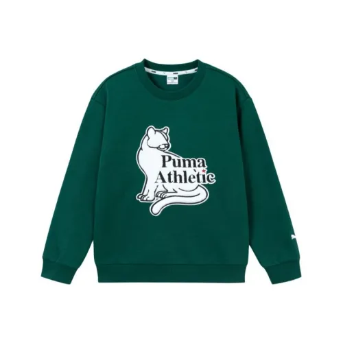 PUMA Темно-зеленый 40701 Kids Свитшоты