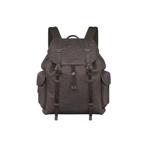 DIOR Рюкзак из коровьей кожи мужской коричневый