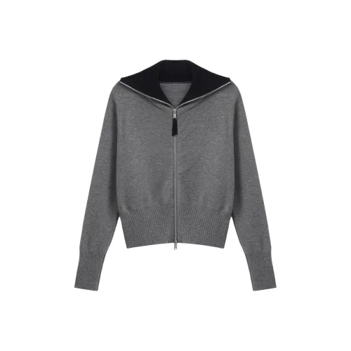 Another Alley Фотиния Серый Женский Трикотаж