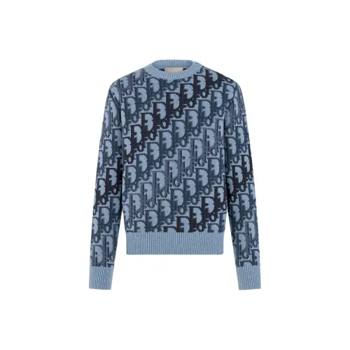 DIOR Синие Мужские Свитера