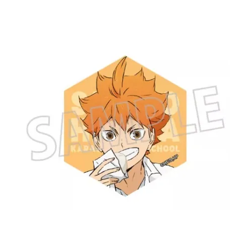 Animate Haikyuu!! Anime Version Hexagonal Акриловый Магнитный Мерч по IP