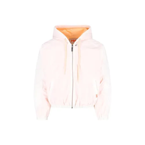 PDF Розовый Мужской Куртки